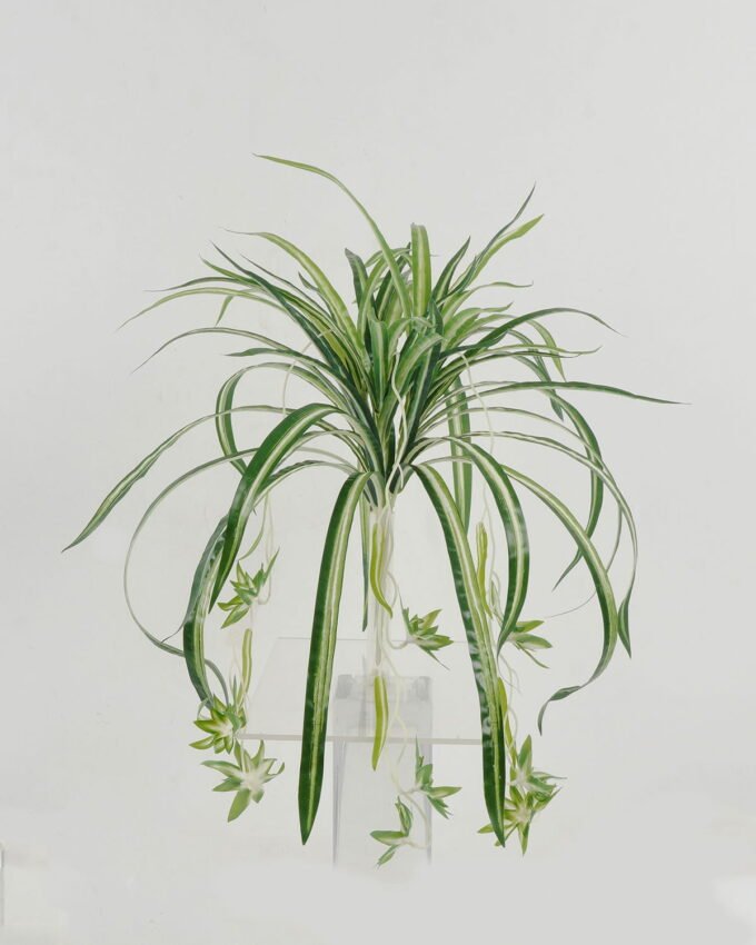 Artificial Plant 40*40*38cm Leaf *4 hanging GS-64221022 Potted Flowers&Plants YeahFlower is one of Chinese leading OEM manufacturers and exporters , supplying the silk flowers, wholesale artificial trees