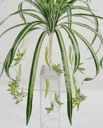 Artificial Plant 40*40*38cm Leaf *4 hanging GS-64221022 Potted Flowers&Plants YeahFlower is one of Chinese leading OEM manufacturers and exporters , supplying the silk flowers, wholesale artificial trees Artificial Plant 40*40*38cm Leaf *4 hanging GS-64221022 Potted Flowers&Plants YeahFlower is one of Chinese leading OEM manufacturers and exporters , supplying the silk flowers, wholesale artificial trees