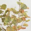 Artificial Plant 28*28*82cm Leaf bush GS-14522043 Leaves&Sprays&Foliages YeahFlower is one of Chinese leading OEM manufacturers and exporters , supplying the silk flowers, wholesale artificial trees