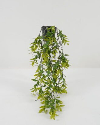 Artificial Plant 23*23*56cm Leaf in PP pot GS-05522067-G1 Potted Flowers&Plants YeahFlower is one of Chinese leading OEM manufacturers and exporters , supplying the silk flowers, wholesale artificial trees