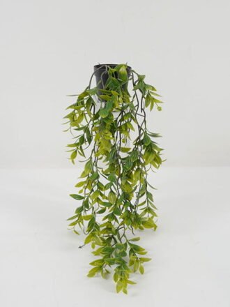 Artificial Plant 20*20*64cm Olive leaf vine in PP pot GS-05522066 Potted Flowers&Plants 3,000+ sqm showroom with thousands of artificial flowers, plants & trees ready for global sourcing.