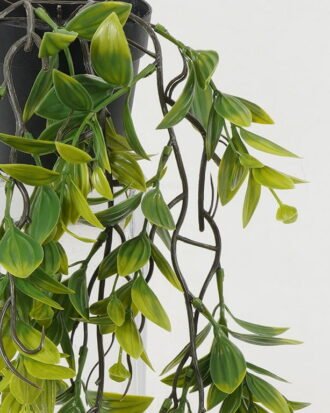 Artificial Plant 23*23*56cm Leaf in PP pot GS-05522067-G1 Potted Flowers&Plants YeahFlower is one of Chinese leading OEM manufacturers and exporters , supplying the silk flowers, wholesale artificial trees