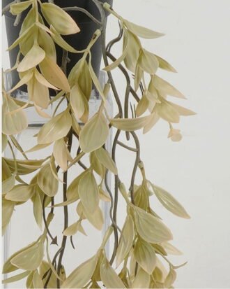 Artificial Plant 23*23*56cm Leaf in PP pot GS-05522068-C1 Potted Flowers&Plants YeahFlower is one of Chinese leading OEM manufacturers and exporters , supplying the silk flowers, wholesale artificial trees