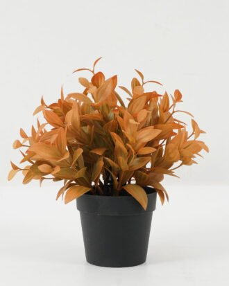 Artificial Plant 23*23*56cm Leaf in PP pot GS-05522070-Y1 Potted Flowers&Plants YeahFlower is one of Chinese leading OEM manufacturers and exporters , supplying the silk flowers, wholesale artificial trees