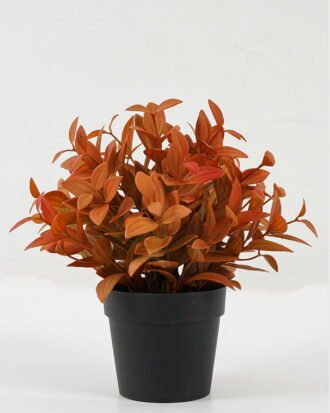 Artificial Plant 23*23*56cm Leaf in PP pot GS-05522070-Y1 Potted Flowers&Plants YeahFlower is one of Chinese leading OEM manufacturers and exporters , supplying the silk flowers, wholesale artificial trees