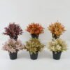 Artificial Plant 23*23*56cm Leaf in PP pot GS-05522070 Potted Flowers&Plants YeahFlower is one of Chinese leading OEM manufacturers and exporters , supplying the silk flowers, wholesale artificial trees