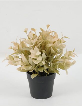 Artificial Plant 23*23*56cm Leaf in PP pot GS-05522070 Potted Flowers&Plants YeahFlower is one of Chinese leading OEM manufacturers and exporters , supplying the silk flowers, wholesale artificial trees