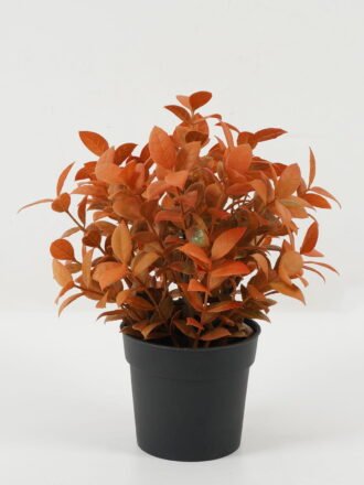 Artificial Plant 19*19*25 Leaf in PP pot GS-05522071-Y1 Potted Flowers&Plants 3,000+ sqm showroom with thousands of artificial flowers, plants & trees ready for global sourcing.