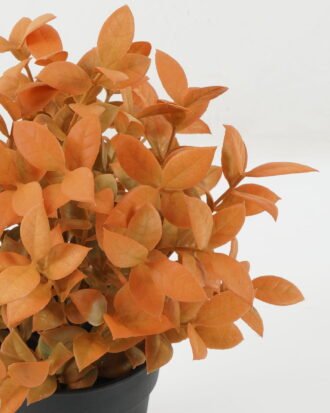 Artificial Plant 19*19*25 Leaf in PP pot GS-05522071-Y1 Potted Flowers&Plants YeahFlower is one of Chinese leading OEM manufacturers and exporters , supplying the silk flowers, wholesale artificial trees