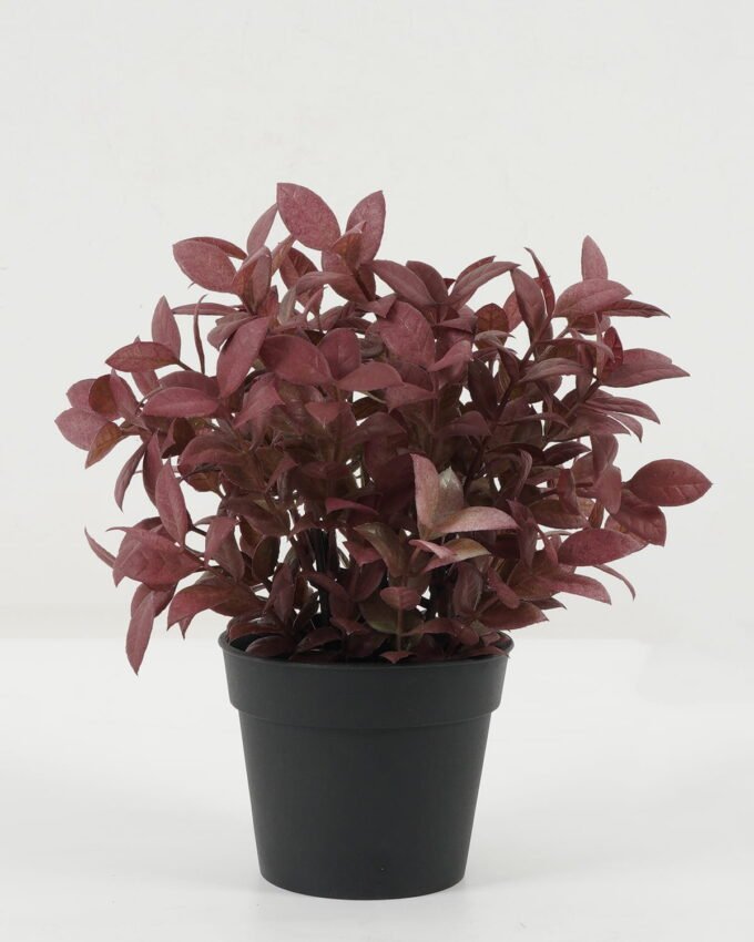 Artificial Plant 19*19*25 Leaf in PP pot GS-05522071-Y1 Potted Flowers&Plants YeahFlower is one of Chinese leading OEM manufacturers and exporters , supplying the silk flowers, wholesale artificial trees