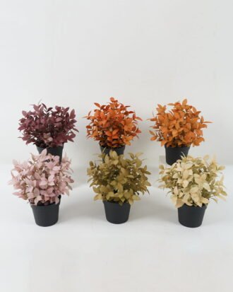 Artificial Plant 19*19*25 Leaf in PP pot GS-05522071 Potted Flowers&Plants YeahFlower is one of Chinese leading OEM manufacturers and exporters , supplying the silk flowers, wholesale artificial trees