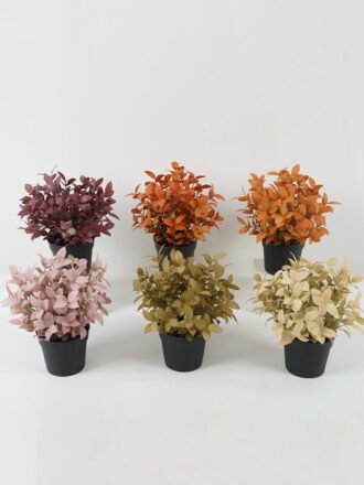 Artificial Plant 19*19*25 Leaf in PP pot GS-05522071-O1 Potted Flowers&Plants 3,000+ sqm showroom with thousands of artificial flowers, plants & trees ready for global sourcing.
