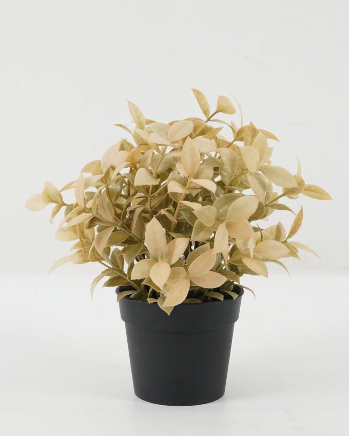 Artificial Plant 19*19*25 Leaf in PP pot GS-05522071 Potted Flowers&Plants YeahFlower is one of Chinese leading OEM manufacturers and exporters , supplying the silk flowers, wholesale artificial trees