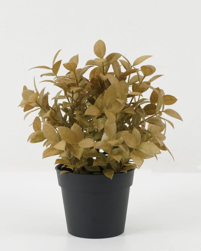 Artificial Plant 19*19*25 Leaf in PP pot GS-05522071 Potted Flowers&Plants YeahFlower is one of Chinese leading OEM manufacturers and exporters , supplying the silk flowers, wholesale artificial trees