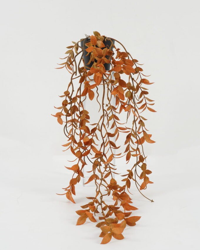 Artificial Plant 20*20*55cm Leaf in PP pot GS-05522073-P1 Potted Flowers&Plants YeahFlower is one of Chinese leading OEM manufacturers and exporters , supplying the silk flowers, wholesale artificial trees