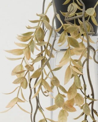 Artificial Plant 20*20*55cm Leaf in PP pot GS-05522073 Potted Flowers&Plants YeahFlower is one of Chinese leading OEM manufacturers and exporters , supplying the silk flowers, wholesale artificial trees