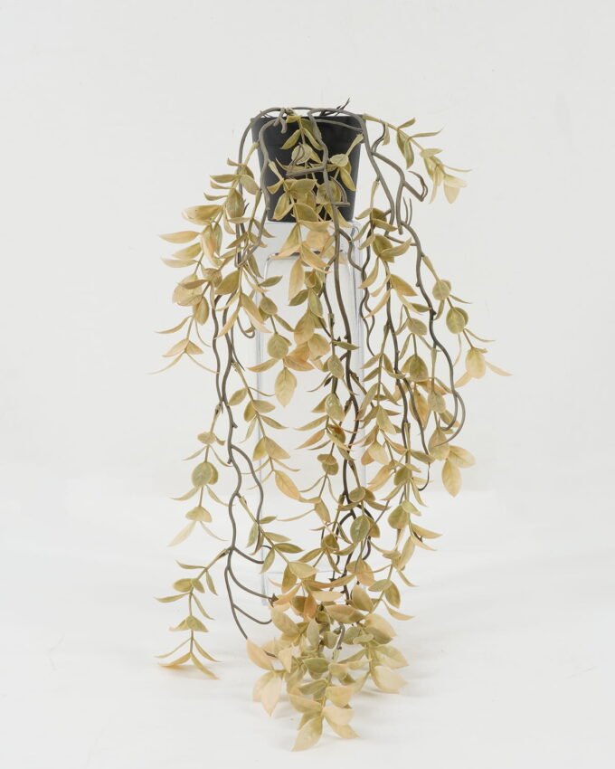 Artificial Plant 20*20*55cm Leaf in PP pot GS-05522073 Potted Flowers&Plants YeahFlower is one of Chinese leading OEM manufacturers and exporters , supplying the silk flowers, wholesale artificial trees