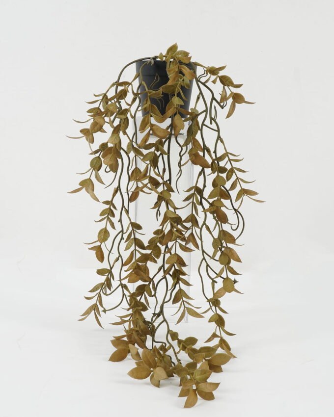 Artificial Plant 20*20*55cm Leaf in PP pot GS-05522073 Potted Flowers&Plants YeahFlower is one of Chinese leading OEM manufacturers and exporters , supplying the silk flowers, wholesale artificial trees