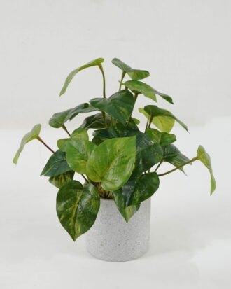 Artificial Plant 25*25*25cm Leaf in cement pot GS-64221020 Potted Flowers&Plants YeahFlower is one of Chinese leading OEM manufacturers and exporters , supplying the silk flowers, wholesale artificial trees Artificial Plant 25*25*25cm Leaf in cement pot GS-64221020 Potted Flowers&Plants YeahFlower is one of Chinese leading OEM manufacturers and exporters , supplying the silk flowers, wholesale artificial trees