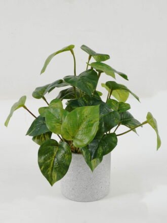 Artificial Plant 20*20*59cm leaves vine in PP pot GS-05522080 Potted Flowers&Plants YeahFlower is one of Chinese leading OEM manufacturers and exporters , supplying the silk flowers, wholesale artificial trees