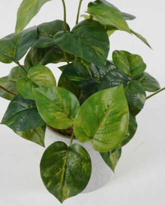 Artificial Plant 25*25*25cm Leaf in cement pot GS-64221020 Potted Flowers&Plants YeahFlower is one of Chinese leading OEM manufacturers and exporters , supplying the silk flowers, wholesale artificial trees Artificial Plant 25*25*25cm Leaf in cement pot GS-64221020 Potted Flowers&Plants YeahFlower is one of Chinese leading OEM manufacturers and exporters , supplying the silk flowers, wholesale artificial trees