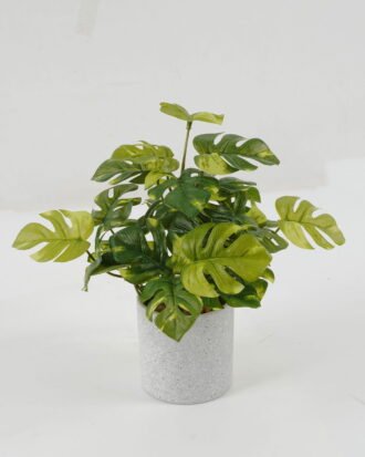 Artificial Plant 25*25*25cm Leaf in cement pot GS-64221021 Potted Flowers&Plants YeahFlower is one of Chinese leading OEM manufacturers and exporters , supplying the silk flowers, wholesale artificial trees Artificial Plant 25*25*25cm Leaf in cement pot GS-64221021 Potted Flowers&Plants YeahFlower is one of Chinese leading OEM manufacturers and exporters , supplying the silk flowers, wholesale artificial trees