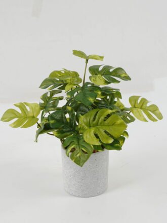 Artificial Plant 40*40*38cm Leaf *4 hanging GS-64221022 Potted Flowers&Plants 3,000+ sqm showroom with thousands of artificial flowers, plants & trees ready for global sourcing.