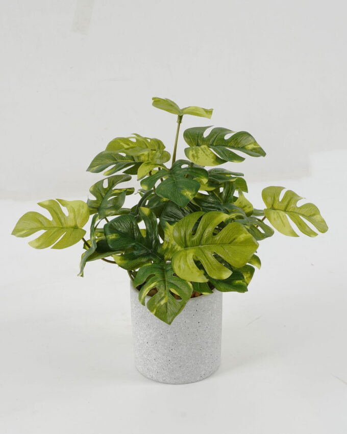 Artificial Plant 25*25*25cm Leaf in cement pot GS-64221021 Potted Flowers&Plants YeahFlower is one of Chinese leading OEM manufacturers and exporters , supplying the silk flowers, wholesale artificial trees