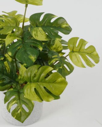 Artificial Plant 25*25*25cm Leaf in cement pot GS-64221021 Potted Flowers&Plants YeahFlower is one of Chinese leading OEM manufacturers and exporters , supplying the silk flowers, wholesale artificial trees Artificial Plant 25*25*25cm Leaf in cement pot GS-64221021 Potted Flowers&Plants YeahFlower is one of Chinese leading OEM manufacturers and exporters , supplying the silk flowers, wholesale artificial trees