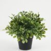 Artificial Plant Leaf in the pp pot GS-05522085 Artificial Plant 18*18*21cm Leaf in the pp pot GS-05522085 Potted Flowers&Plants YeahFlower is one of Chinese leading OEM manufacturers and exporters , supplying the silk flowers, wholesale artificial trees