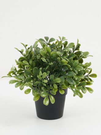Artificial succulent 20*20*38cm Succulent in pp pot GS-51722089 Potted Flowers&Plants YeahFlower is one of Chinese leading OEM manufacturers and exporters , supplying the silk flowers, wholesale artificial trees