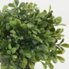 Artificial Plant Leaf in the pp pot GS-05522085_4 Artificial Plant 18*18*21cm Leaf in the pp pot GS-05522085 Potted Flowers&Plants YeahFlower is one of Chinese leading OEM manufacturers and exporters , supplying the silk flowers, wholesale artificial trees