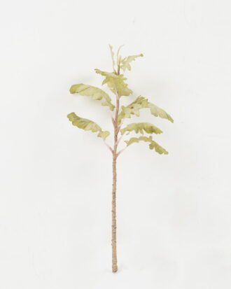 Artificial Plant 13*13*31cm Leaf single stem GS-14522019-G1 Leaves&Sprays&Foliages YeahFlower is one of Chinese leading OEM manufacturers and exporters , supplying the silk flowers, wholesale artificial trees