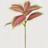 Artificial Plant 22*22*28cm Leaf single stem GS-48322001-R1 Leaves&Sprays&Foliages YeahFlower is one of Chinese leading OEM manufacturers and exporters , supplying the silk flowers, wholesale artificial trees