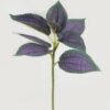 Artificial Plant 22*22*28cm Leaf single stem GS-48322001-Z1 Leaves&Sprays&Foliages YeahFlower is one of Chinese leading OEM manufacturers and exporters , supplying the silk flowers, wholesale artificial trees