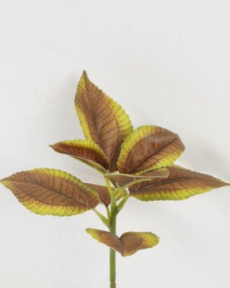 Artificial Plant 22*22*28cm Leaf single stem GS-48322001 Leaves&Sprays&Foliages YeahFlower is one of Chinese leading OEM manufacturers and exporters , supplying the silk flowers, wholesale artificial trees