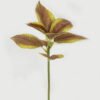 Artificial Plant 22*22*28cm Leaf single stem GS-48322001 Leaves&Sprays&Foliages YeahFlower is one of Chinese leading OEM manufacturers and exporters , supplying the silk flowers, wholesale artificial trees