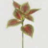 Artificial Plant 22*22*28cm Leaf single stem GS-48322001 Leaves&Sprays&Foliages YeahFlower is one of Chinese leading OEM manufacturers and exporters , supplying the silk flowers, wholesale artificial trees