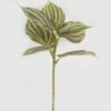 Artificial Plant 22*22*31cm Leaf single stem GS-48322004 Leaves&Sprays&Foliages YeahFlower is one of Chinese leading OEM manufacturers and exporters , supplying the silk flowers, wholesale artificial trees