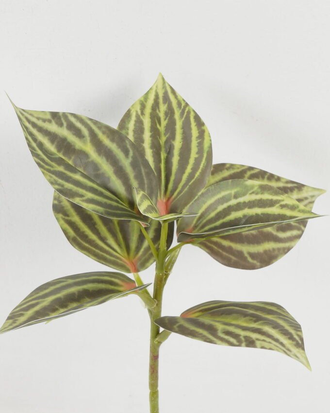 Artificial Plant 22*22*31cm Leaf single stem GS-48322004 Leaves&Sprays&Foliages YeahFlower is one of Chinese leading OEM manufacturers and exporters , supplying the silk flowers, wholesale artificial trees