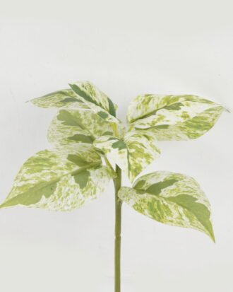 Artificial Plant 22*22*32cm Leaf single stem GS-48322005 Leaves&Sprays&Foliages YeahFlower is one of Chinese leading OEM manufacturers and exporters , supplying the silk flowers, wholesale artificial trees
