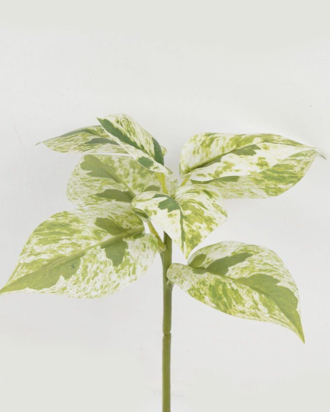 Artificial Plant 22*22*32cm Leaf single stem GS-48322005 Leaves&Sprays&Foliages YeahFlower is one of Chinese leading OEM manufacturers and exporters , supplying the silk flowers, wholesale artificial trees