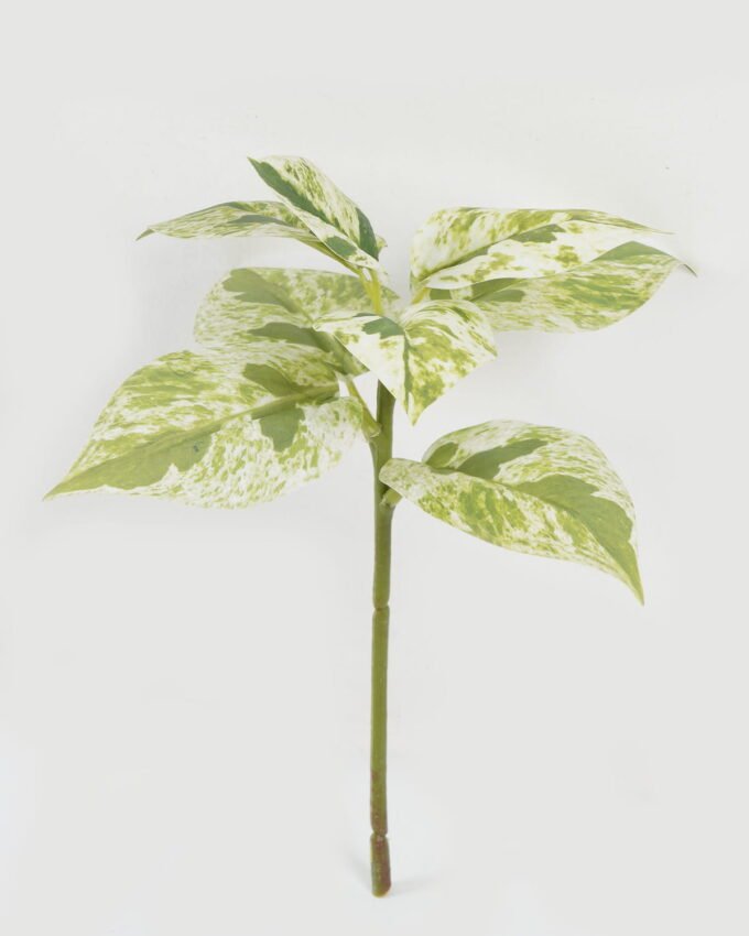 Artificial Plant 22*22*32cm Leaf single stem GS-48322005 Leaves&Sprays&Foliages YeahFlower is one of Chinese leading OEM manufacturers and exporters , supplying the silk flowers, wholesale artificial trees
