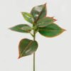 Artificial Plant 22*22*33cm Leaf single stem GS-48322006-O1 Leaves&Sprays&Foliages YeahFlower is one of Chinese leading OEM manufacturers and exporters , supplying the silk flowers, wholesale artificial trees