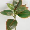 Artificial Plant 22*22*33cm Leaf single stem GS-48322006-O1 Leaves&Sprays&Foliages YeahFlower is one of Chinese leading OEM manufacturers and exporters , supplying the silk flowers, wholesale artificial trees