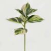 Artificial Plant 22*22*33cm Leaf single stem GS-48322006-W1 Leaves&Sprays&Foliages YeahFlower is one of Chinese leading OEM manufacturers and exporters , supplying the silk flowers, wholesale artificial trees