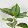 Artificial Plant 22*22*33cm Leaf single stem GS-48322006 Leaves&Sprays&Foliages YeahFlower is one of Chinese leading OEM manufacturers and exporters , supplying the silk flowers, wholesale artificial trees