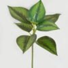 Artificial Plant 22*22*33cm Leaf single stem GS-48322006 Leaves&Sprays&Foliages YeahFlower is one of Chinese leading OEM manufacturers and exporters , supplying the silk flowers, wholesale artificial trees