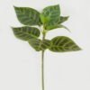 Artificial Plant 22*22*33cm Leaf single stem GS-48322006 Leaves&Sprays&Foliages YeahFlower is one of Chinese leading OEM manufacturers and exporters , supplying the silk flowers, wholesale artificial trees