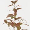 Artificial Plant 38*38*102cm Leaves *4 single stem GS-15422056-R2 Leaves&Sprays&Foliages YeahFlower is one of Chinese leading OEM manufacturers and exporters , supplying the silk flowers, wholesale artificial trees